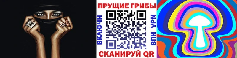 Галлюциногенные грибы прущие грибы  сколько стоит  Тавда 